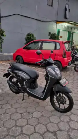 GENIO ISS MURAH GRESS READY