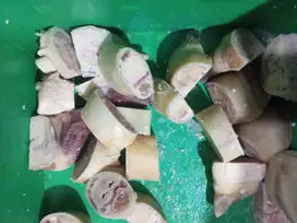 Kaki tunjang sapi
