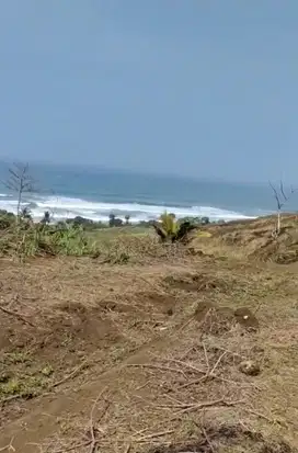 DIJUAL TANAH DEKAT PANTAI KARANG POTONG CIANJUR