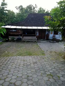 Tanah Murah Bonus Joglo Dalam Perumahan Dekat Madukismo Dan Kasongan
