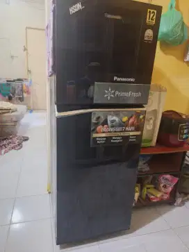 Edisi Pulang kampung