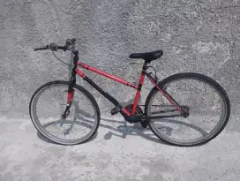 Sepeda untuk anak remaja