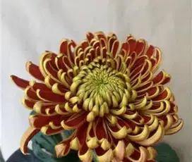 Lowongan Florist