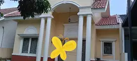Disewakan rumah murah Taman Chrysant Bsd City