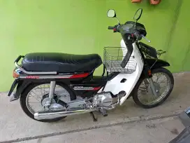 Honda Bulus asli