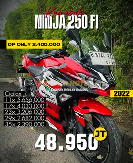 DP 2.4 Kawasaki Ninja 250 Fi 2022