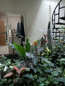 Disewakan/dijual rumah ruko pinggir jalan