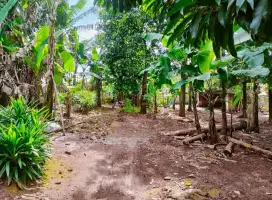Tanpa perantara dijual tanah 900 meter