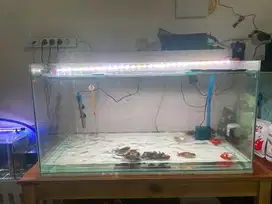Aquarium besar jumbo