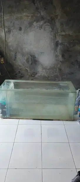 Akuarium ikan besar