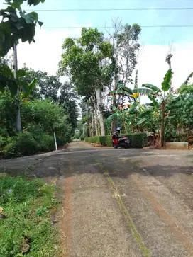 Jual Cepat Tanah Datar Istimewa