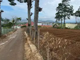 Tanah di Ngamprah, Strategis Lokasi Bagus Dekat Pemda KBB