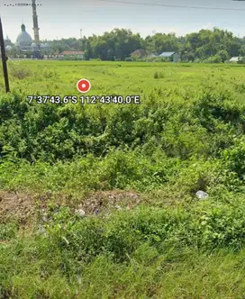 Tanah Peruntukan Industri Raya Pandaan arah Bangil Nol Jalan