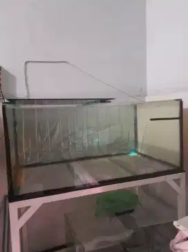 Aquarium tempat ikan arwana kesayangan