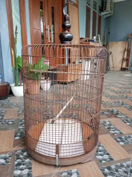 Kandang Murai no.2 bonus Kandang Burcil