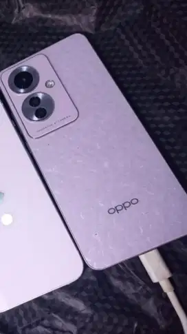 Oppo Reno 11F Purple