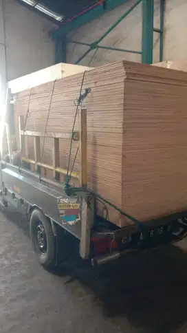 Triplek tebal 3mm 4mm 5mm 8mm 9mm 12mm 15mm 18mm Jual Plywood Surabaya