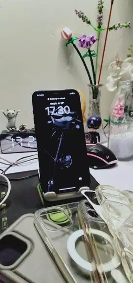IPHONE 12 PROMAX 256 Inter