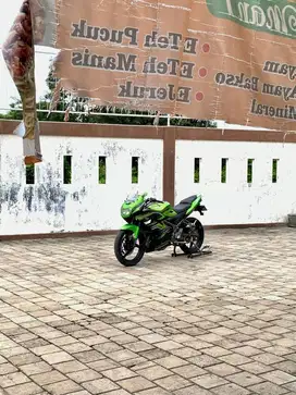 ninja rr new 2013