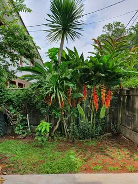Rumah Siap Huni di Delman Raya- Kebayoran Lama