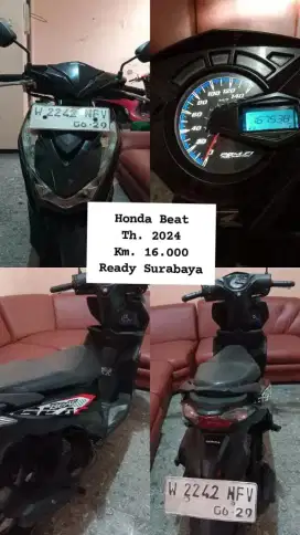Beat 2024 pajak hidup