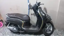 Scoopy Prestige Style Brown 2021