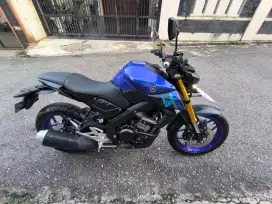 Yamaha MT15 Pribadi