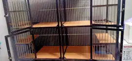 Kandang Kucing Tingkat