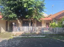( COCOK UNTUK KOS ) RUMAH LAMA DI JL PLEBURAN RAYA SEMARANG SELATAN