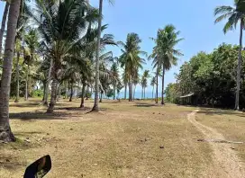 TANAH LOSS PANTAI CUPEL JEMBRANA NEGARA BALI