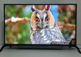 POLYTRON SMART TV 43 INCH , sudah support Wifi , digital , Youtube.