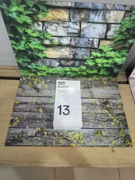 Oppo reno 13F 4G