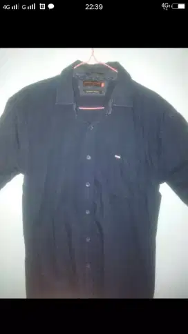 Cardinal size L ori
