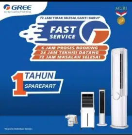 Aircooller merk gree