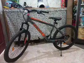 Sepeda Gunung MTB Trendy 26