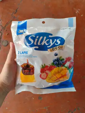 Silkys Duo Pudding