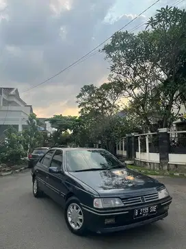 Peugeot 405 1995 Bensin