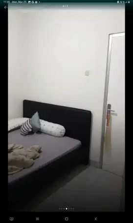 Dijual cepat : Ranjang dan Kasur Springbed (1 set)