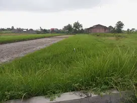 Tanah Luas di Desa Blanceran – Udara Segar, Lingkungan Asri, Investasi