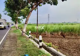 Tanah Prospektif 3500m2 di Banyuarang Ngoro Kab Jombang