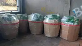 Septic Tank Biotech, Sepiteng Biofil, Biotank, Biofilter,