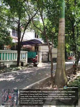 Dijual via lelang rumah bagus di Cempaka Putih, Jakarta Pusat