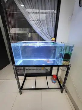 Aquarium set ikan louhan