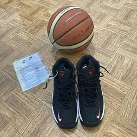 Nike Air Pippen