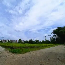 Dekat Kampus, Dekat Kesuksesan! Kavling Strategis di Lowokwaru