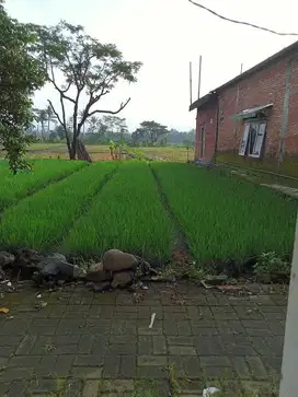 TANAH MURAH BERLOKASI STRATEGIS DI TEGALGONDO KARANGPLOSO MALANG
