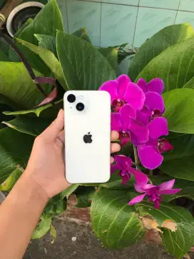 iPhone 14 128GB Purple ex Inter 

Fullset