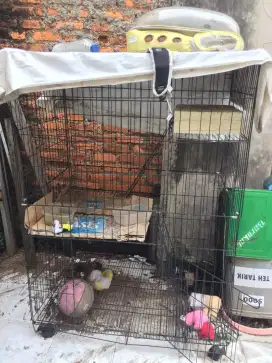 Kandang kucing 2 tingkat