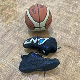 Nike Air Zoom Jason Kidd