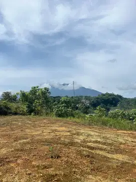 Tanah Di Puncak Luas 712m2 ketinggian 900mdpl Akses Mudah